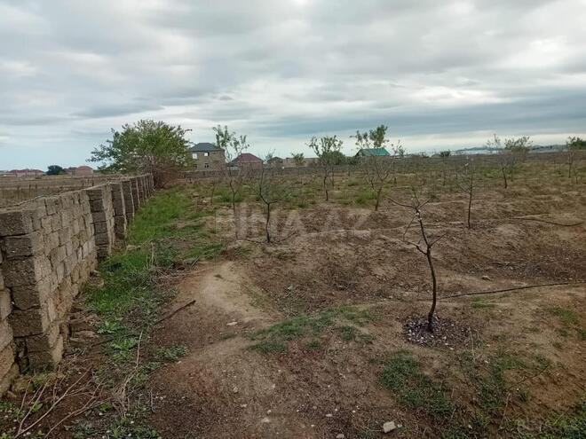 Satılır  torpaq 130 sot, Buzovna q., photo 9 from 13