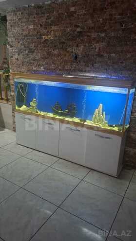 İcarəyə verilir  obyekt 310 m², Memar Əcəmi m., photo 9 from 15