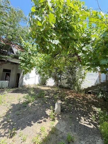 Продаётся  объект 385 м², м. Насими, photo 19 from 26