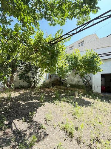 Продаётся  объект 385 м², м. Насими, photo 3 from 26