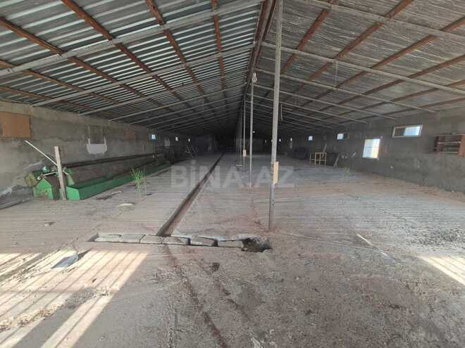 İcarəyə verilir  obyekt 1 200 m², Sabunçu r., photo 14 from 17