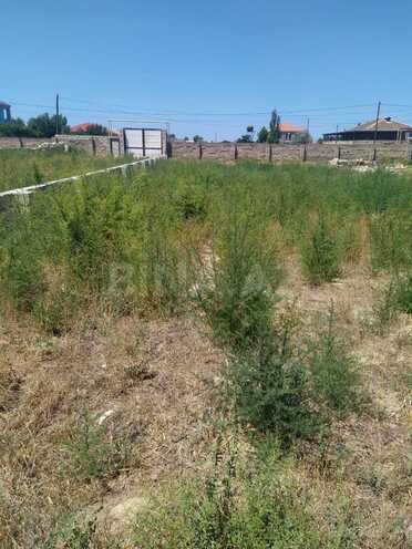 Satılır  torpaq 12 sot, Nardaran q., photo 1 from 3