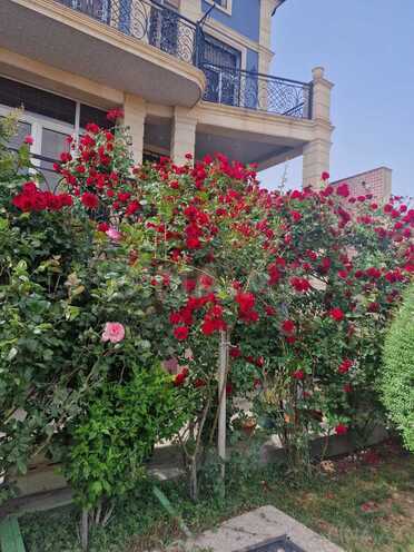 Satılır 8 otaqlı həyət evi/bağ evi 750 m², Səbail r., photo 7 from 26