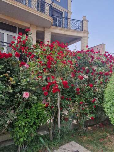 Satılır 8 otaqlı həyət evi/bağ evi 750 m², Səbail r., photo 9 from 26