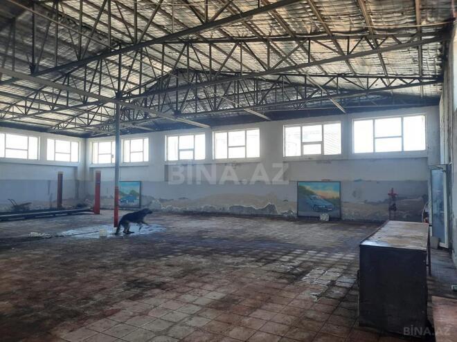 Сдаётся  объект 700 м², photo 5 from 7