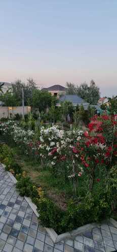 Satılır 6 otaqlı həyət evi/bağ evi 250 m², Görədil q., photo 4 from 32