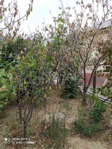 İcarəyə verilir 3 otaqlı həyət evi/bağ evi 110 m², Mehdiabad q., photo 6 from 14