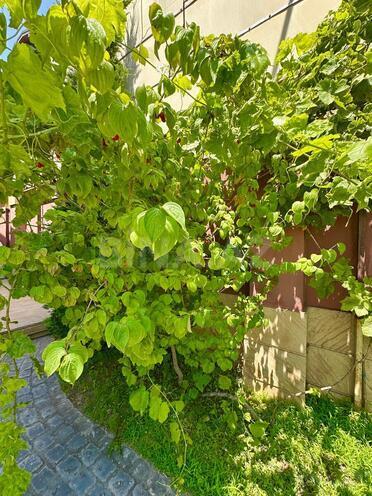 İcarəyə verilir 6 otaqlı həyət evi/bağ evi 400 m², Mərdəkan q., photo 8 from 28