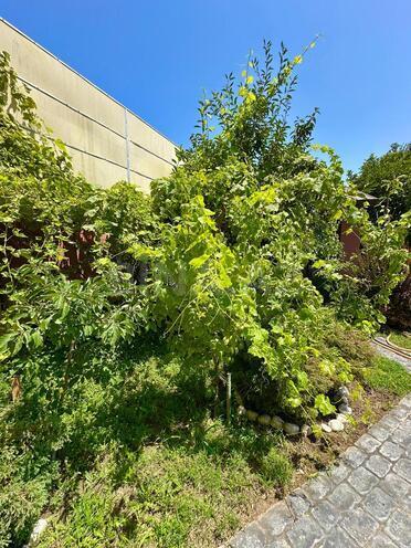 İcarəyə verilir 6 otaqlı həyət evi/bağ evi 400 m², Mərdəkan q., photo 7 from 28