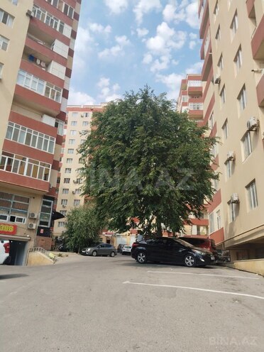 Продаётся  объект 145 м², м. Ази Асланов, photo 3 from 17
