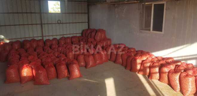 İcarəyə verilir  torpaq 800 sot, photo 8 from 9