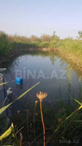 İcarəyə verilir  torpaq 800 sot, photo 4 from 9