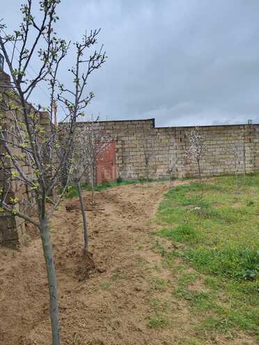 Satılır  torpaq 8 sot, Türkan q., photo 1 from 4