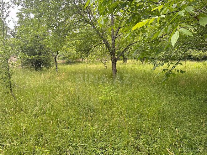 Satılır  torpaq 8 sot, photo 3 from 9