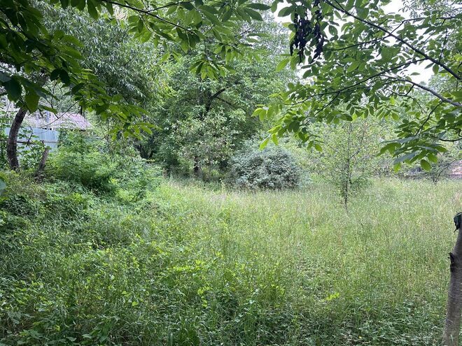 Satılır  torpaq 8 sot, photo 5 from 9