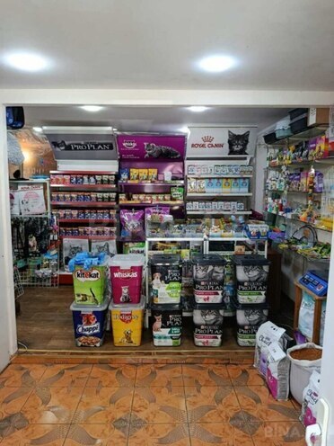 Сдаётся  объект 70 м², м. Иншаатчылар, photo 5 from 12