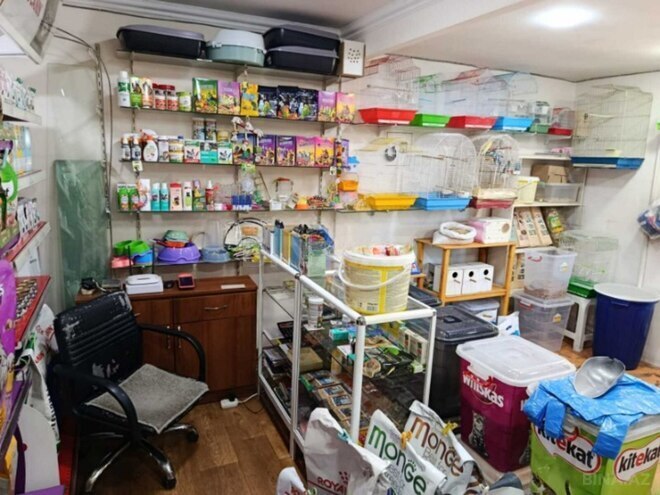 Сдаётся  объект 70 м², м. Иншаатчылар, photo 3 from 12