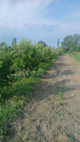 Satılır  torpaq 140 sot, Xaçmaz r., photo 12 from 15