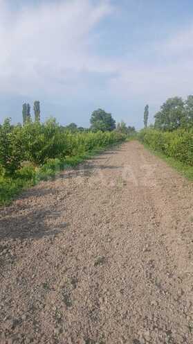 Satılır  torpaq 140 sot, Xaçmaz r., photo 13 from 15