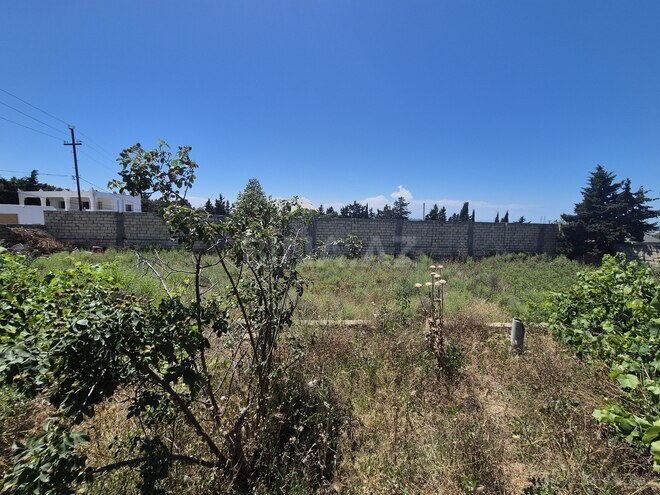 Satılır  torpaq 25 sot, Bilgəh q., photo 8 from 13