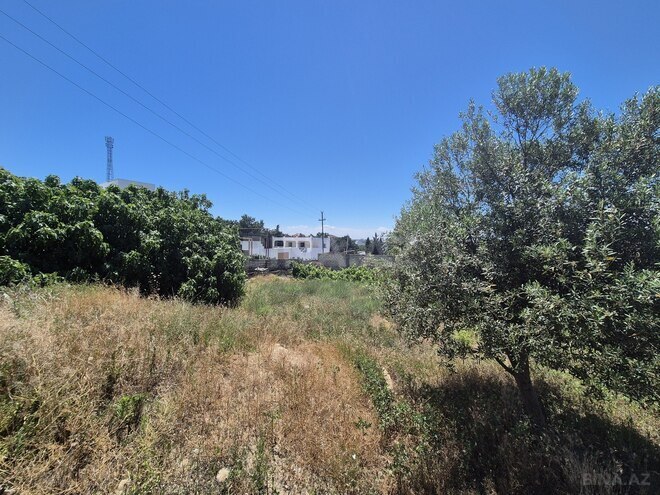 Satılır  torpaq 25 sot, Bilgəh q., photo 12 from 13
