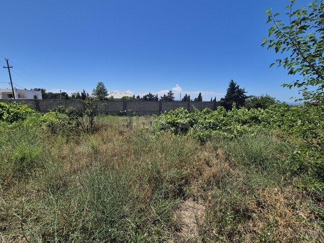 Satılır  torpaq 25 sot, Bilgəh q., photo 11 from 13