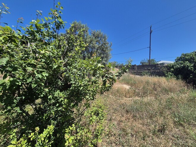 Satılır  torpaq 25 sot, Bilgəh q., photo 10 from 13