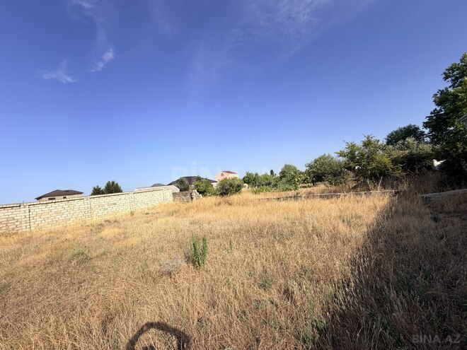 Satılır  torpaq 11 sot, Albalılıq q., photo 5 from 6