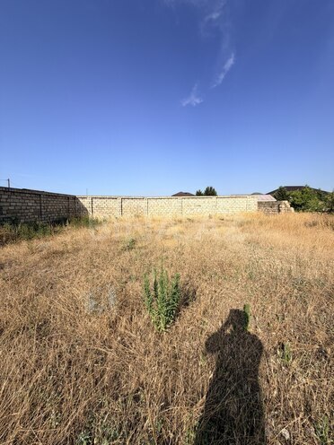 Satılır  torpaq 11 sot, Albalılıq q., photo 3 from 6