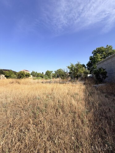 Satılır  torpaq 11 sot, Albalılıq q., photo 1 from 6