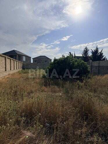 Satılır  torpaq 7.5 sot, Albalılıq q., photo 5 from 6
