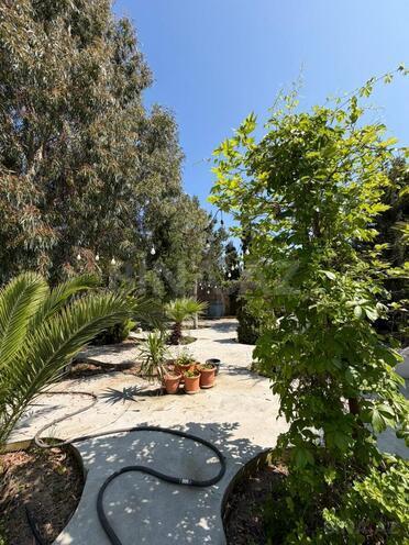 İcarəyə verilir 6 otaqlı həyət evi/bağ evi 500 m², Mərdəkan q., photo 10 from 16