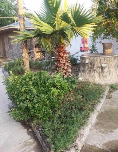Satılır 4 otaqlı həyət evi/bağ evi 140 m², Türkan q., photo 17 from 26