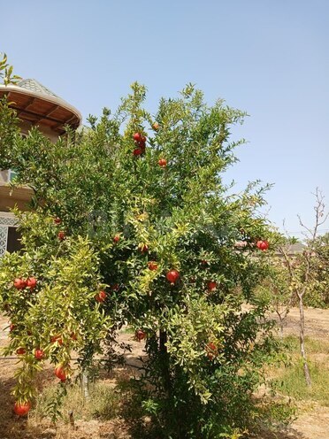 Satılır 6 otaqlı həyət evi/bağ evi 200 m², Savalan q., photo 29 from 30