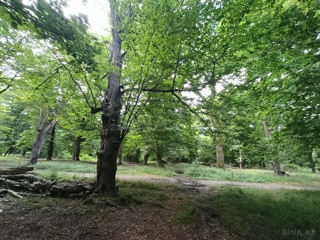 Продаётся  участок 8 сот, Набрань р., photo 10 from 12