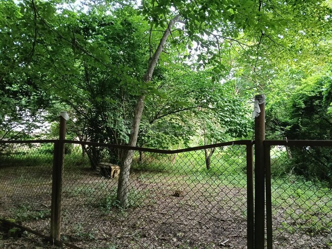 Продаётся  участок 8 сот, Набрань р., photo 11 from 12