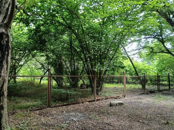 Продаётся  участок 8 сот, Набрань р., photo 6 from 12