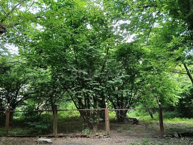 Продаётся  участок 8 сот, Набрань р., photo 5 from 12