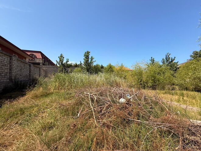 Продаётся  участок 20 сот, пос. Шаган, photo 3 from 8