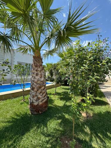 Satılır 6 otaqlı həyət evi/bağ evi 340 m², Mərdəkan q., photo 29 from 31