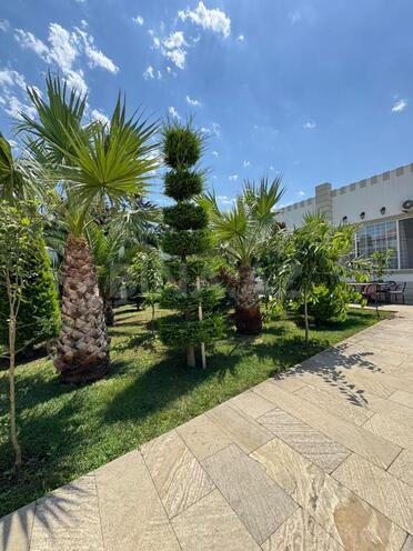 Satılır 6 otaqlı həyət evi/bağ evi 340 m², Mərdəkan q., photo 27 from 31