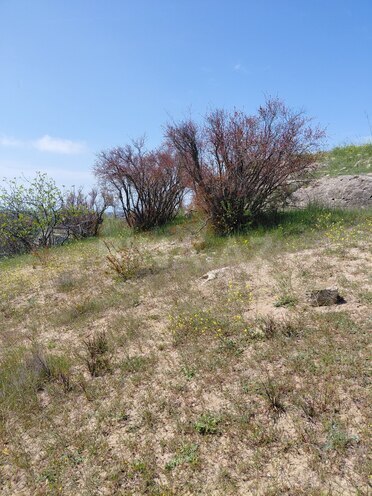 Продаётся  участок 4 сот, пос. Шихов , photo 5 from 6