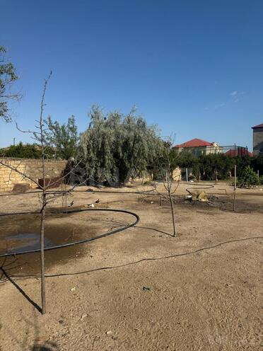 Satılır  torpaq 30 sot, Novxanı q., photo 13 from 19