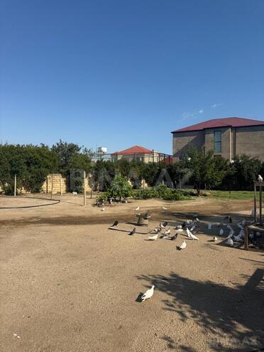Satılır  torpaq 30 sot, Novxanı q., photo 16 from 19