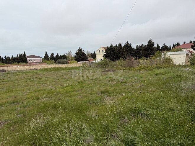Продаётся  участок 600 сот, Гарадагский р., photo 9 from 13