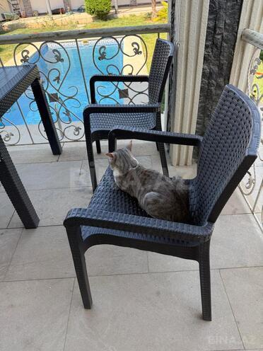 İcarəyə verilir 4 otaqlı həyət evi/bağ evi 200 m², Mərdəkan q., photo 18 from 19