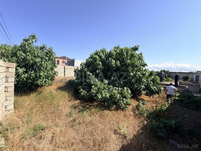 Satılır  torpaq 9.5 sot, Albalılıq q., photo 3 from 4