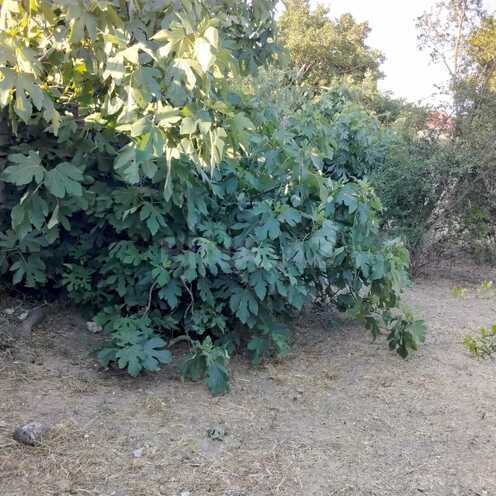 Продаётся 3-комн. дом/дача 67 м², пос. Новханы, photo 10 from 22