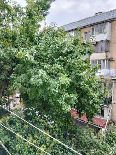Продаётся 3-комн. вторичка 72 м², м. Элмляр Академиясы, photo 14 from 18