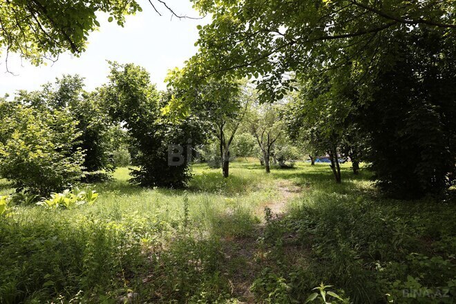 Продаётся  участок 105 сот, photo 5 from 7
